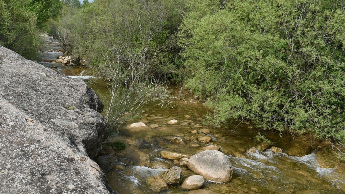 Zona de la riera de Merlès on aquest estiu no s’autoritzarà el bany | GUILLEM CAMPS