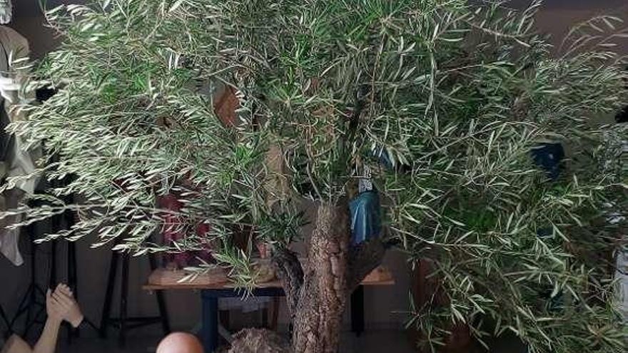 Un olivo para llevar a costal