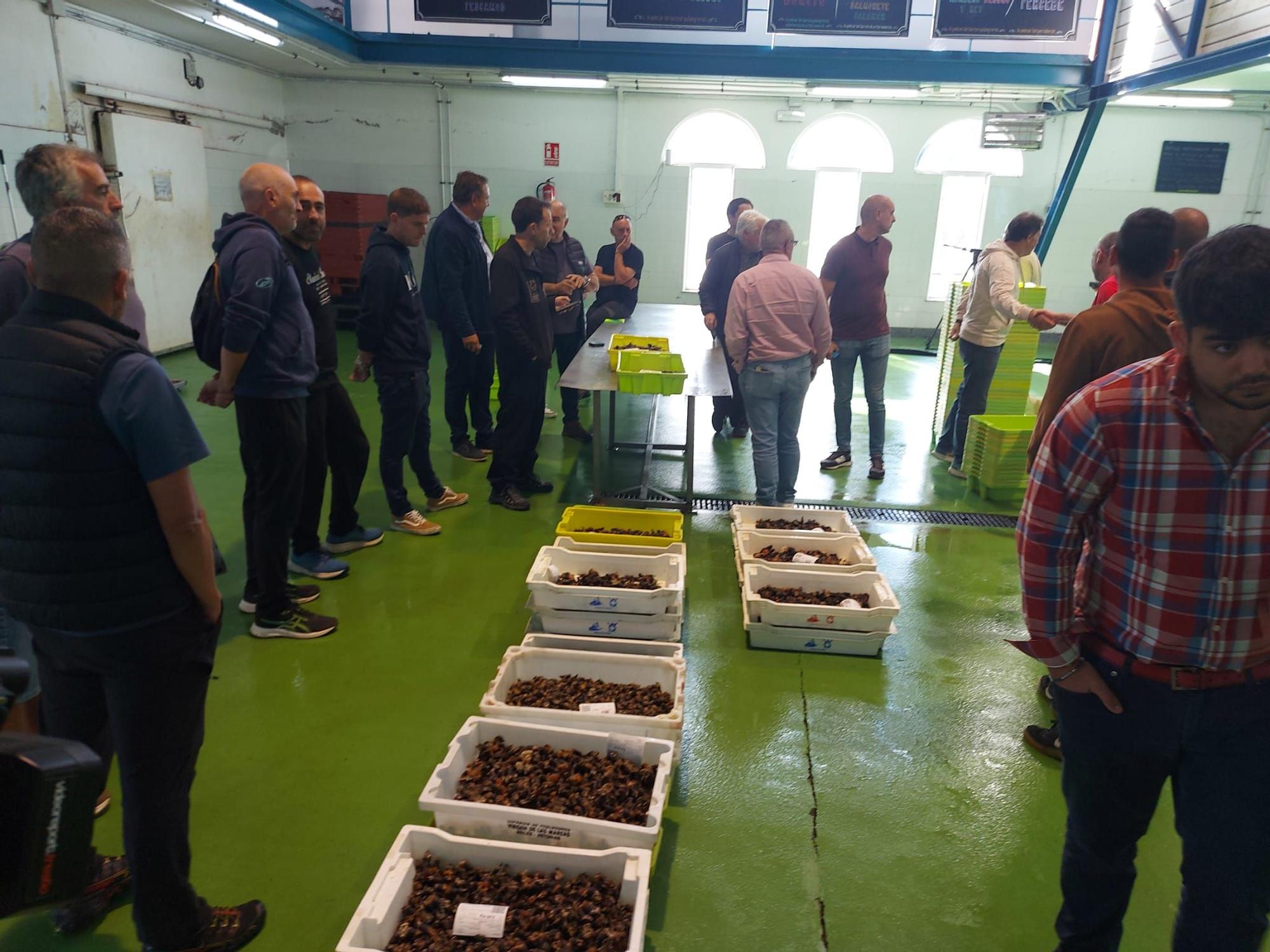 En imágenes: La primera subasta de percebe de la temporada en la rula de Puerto de Vega