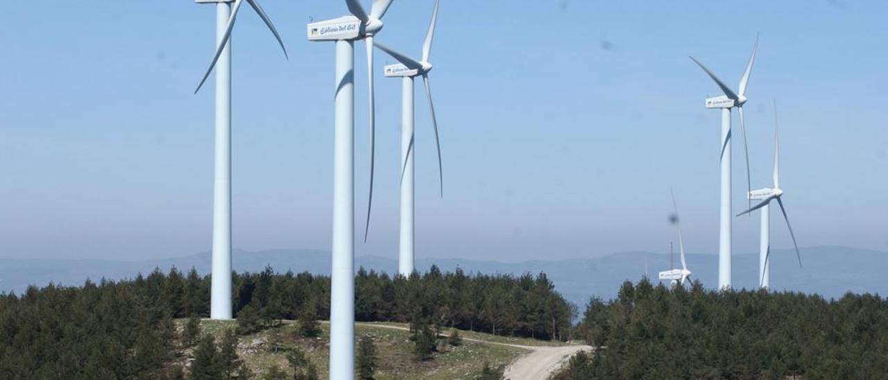 Molinos en un parque de Ourense. // Iñaki Osorio