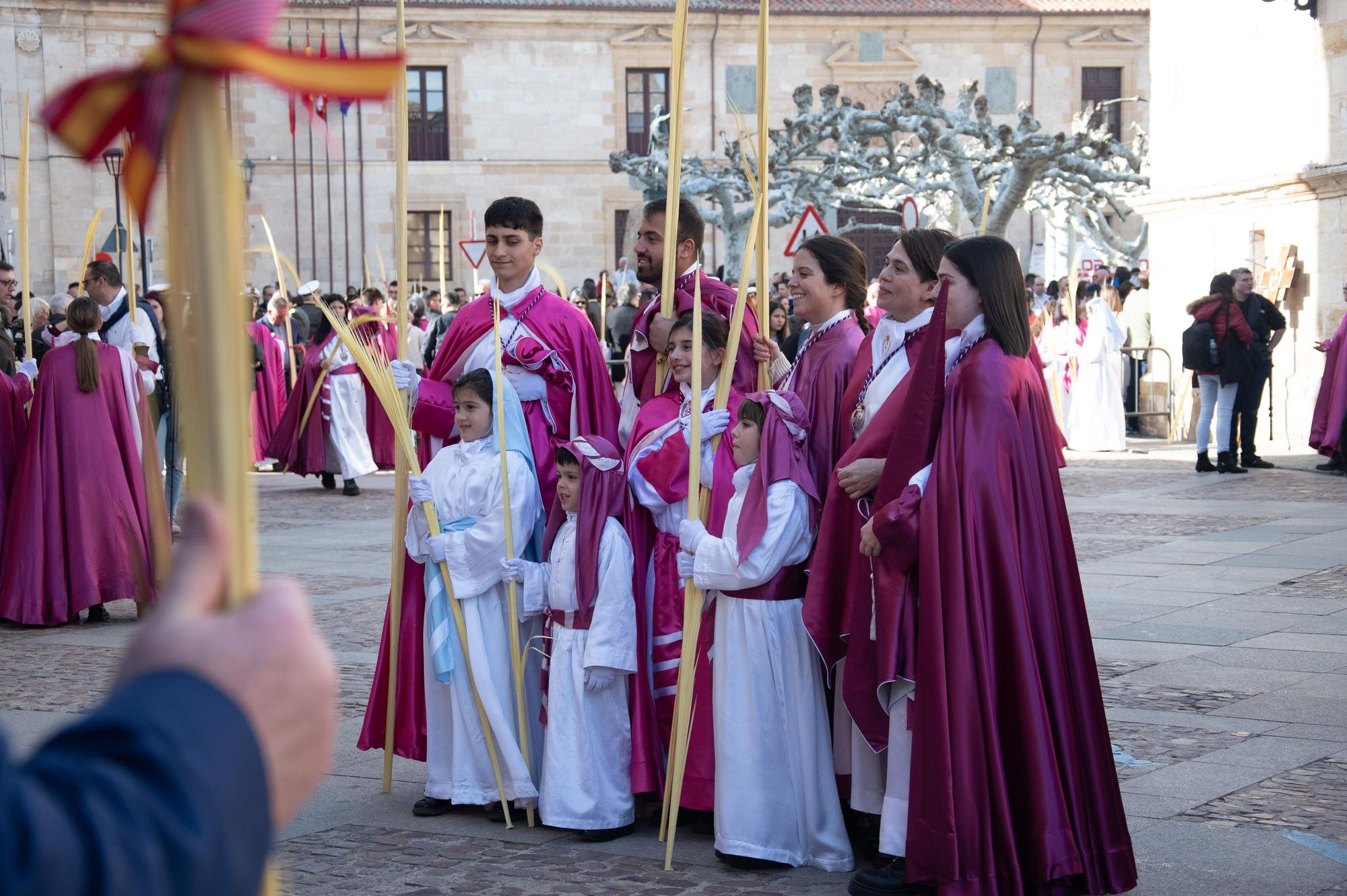 ZAMORA. DOMINGO DE RAMOS