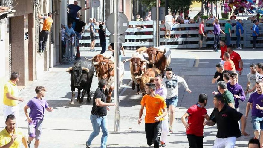 Almassora abre su cartel taurino de Santa Quitèria con el encierro de corro