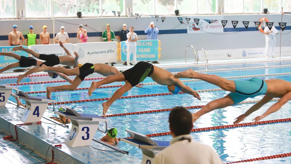 Un momento del tradicional torneo de natación que se está disputando este fin de semana en Elche