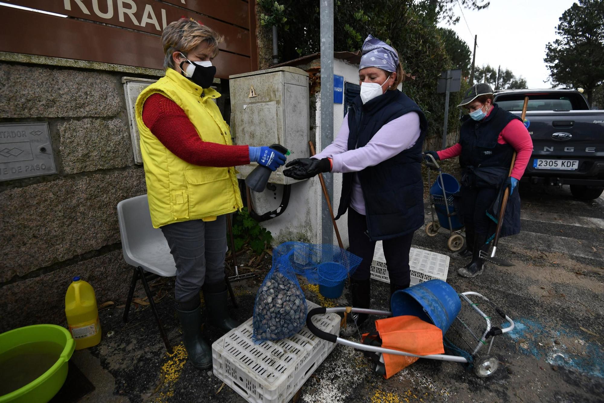 Las mariscadoras vuelven a faenar