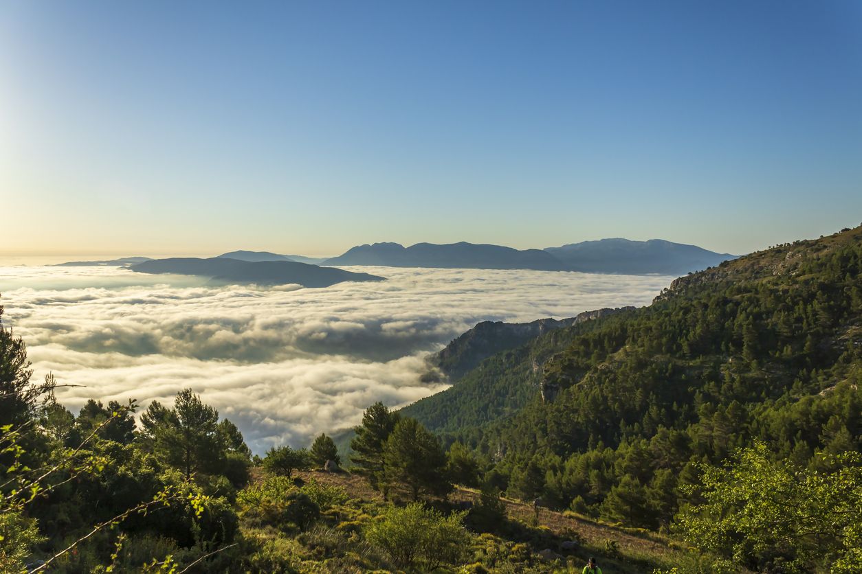 Las vistas sobre la Sierra de Mariola