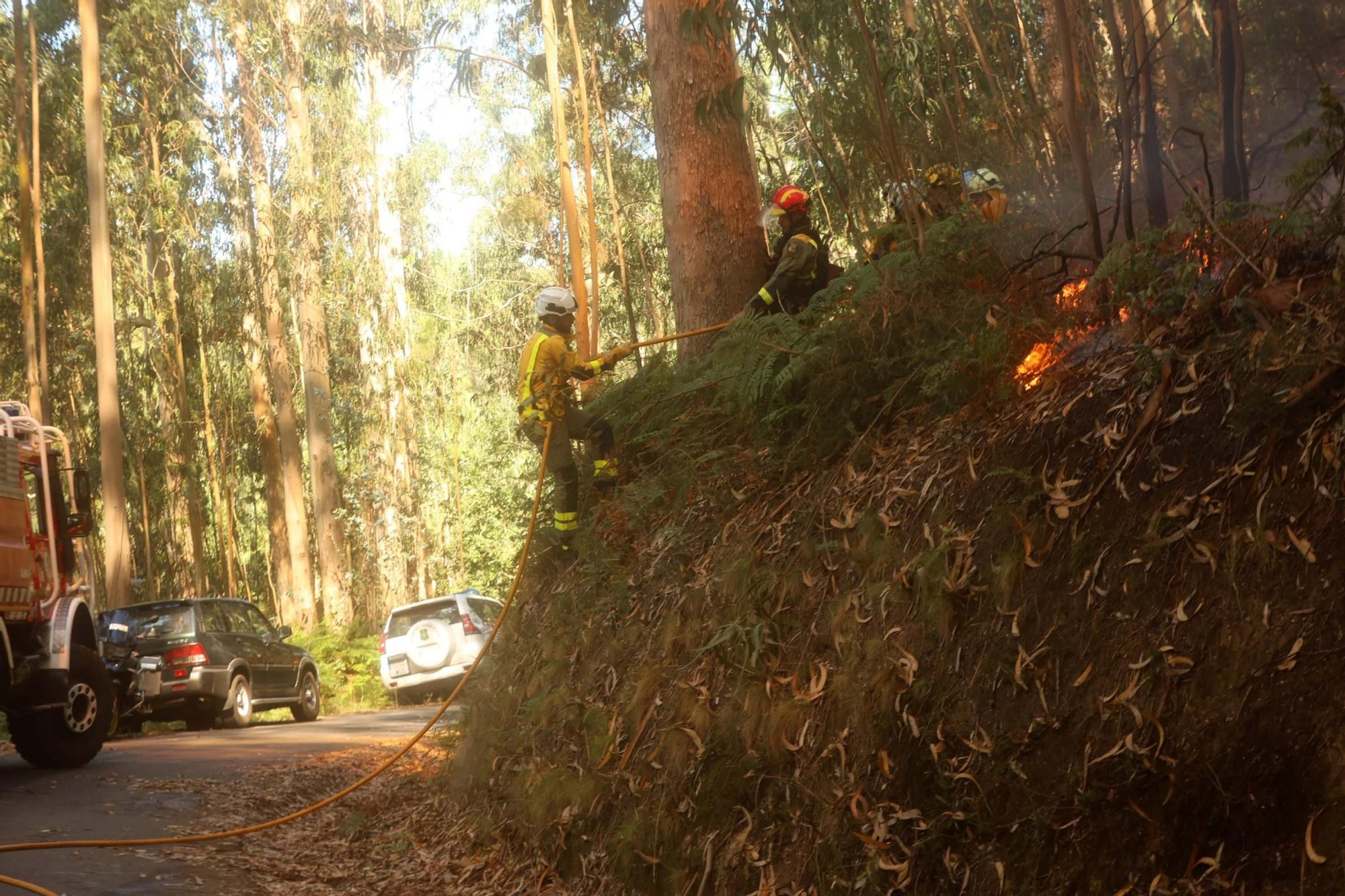 Espectacular incendio forestal en Meaño