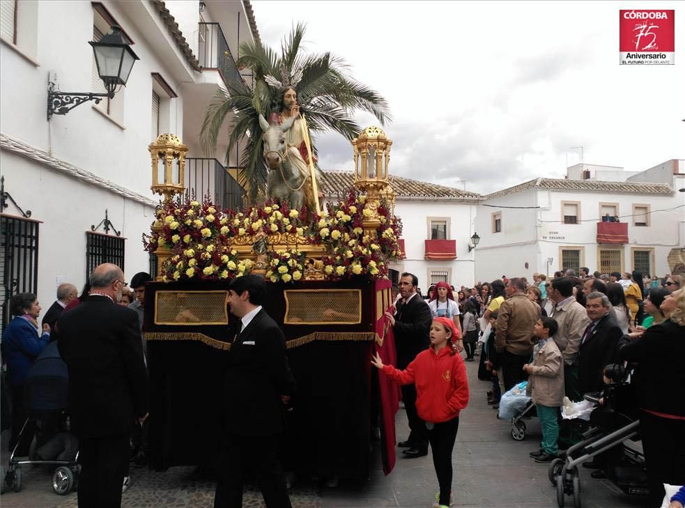 FOTOGALERÍA / El Domingo de Ramos en la provincia