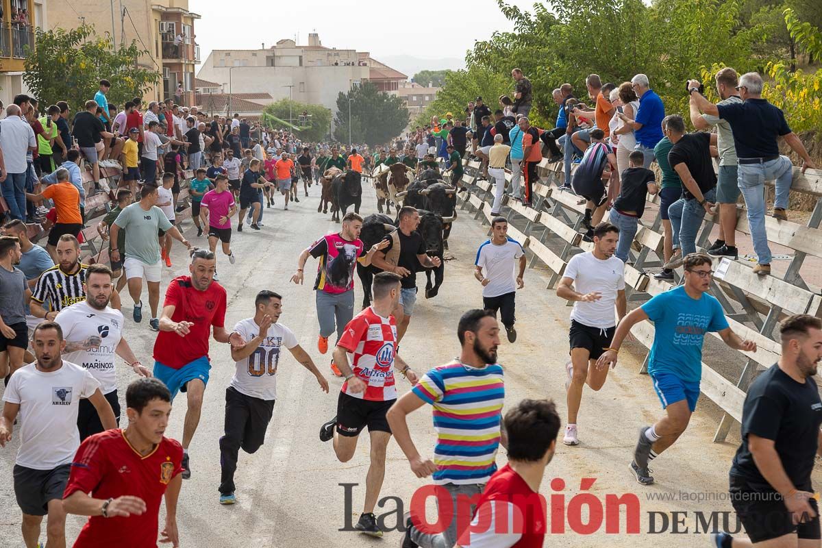 Primer encierro de la Feria Taurina del Arroz en Calasparra