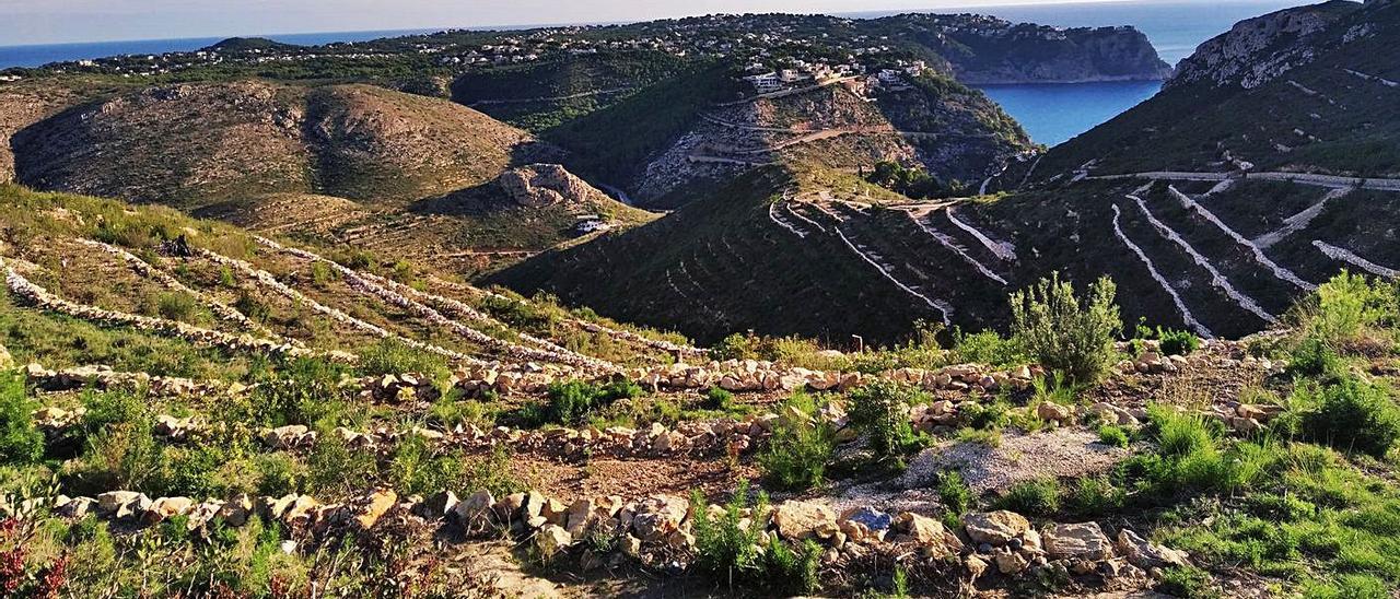 Muros de piedra en seco restaurados en la vertiente que se asoma a la cala de la Granadella. | A. P. F.