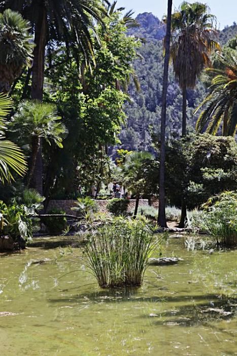 Die Kunsthistorikerin Júlia Ramon erklärt auf einem Rundgang durch die Jardins d’Alfàbia, aus welcher Zeit die Allee, die Wasserspiele und die Bäume stammen