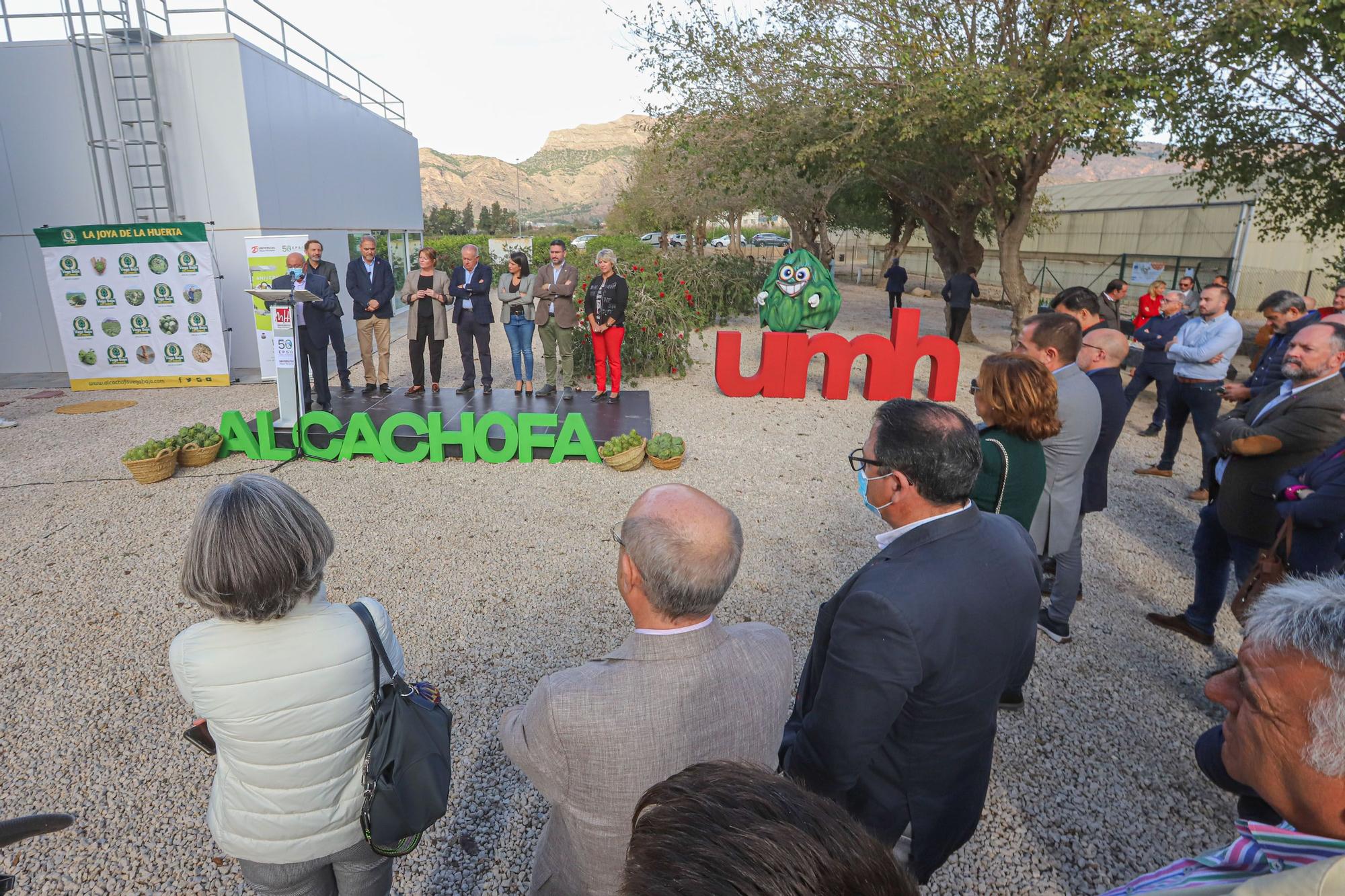 Primer corte de la temporada de alcachofas en la EPSO