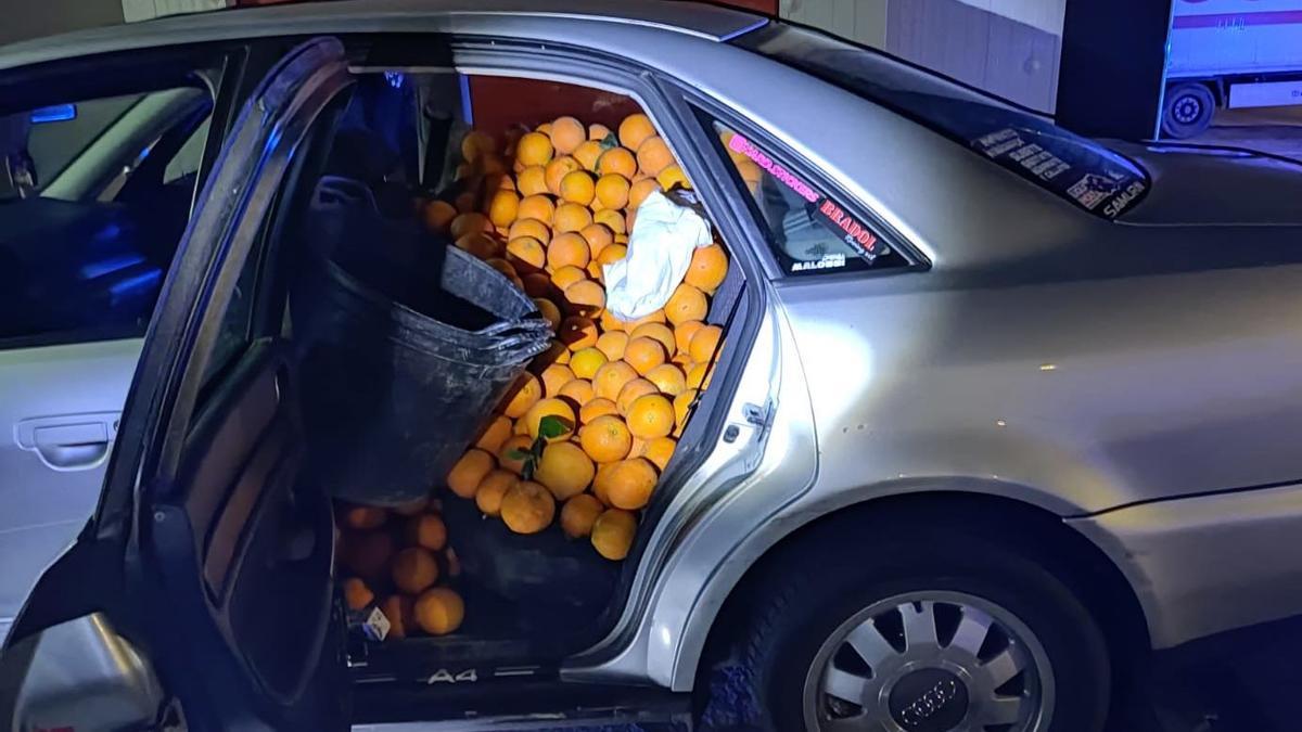 Interior del automóvil, repleto de naranjas y mandarinas.