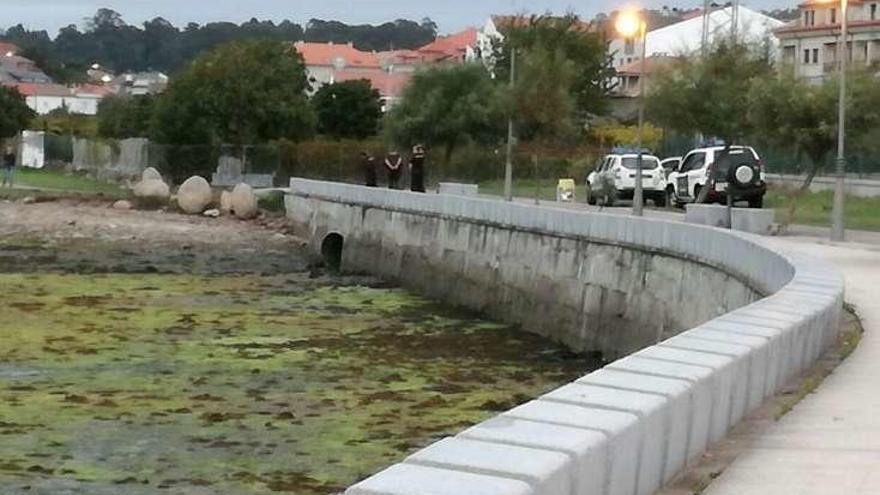 Un momento del operativo policial, en la zona del vertido. // Cedida