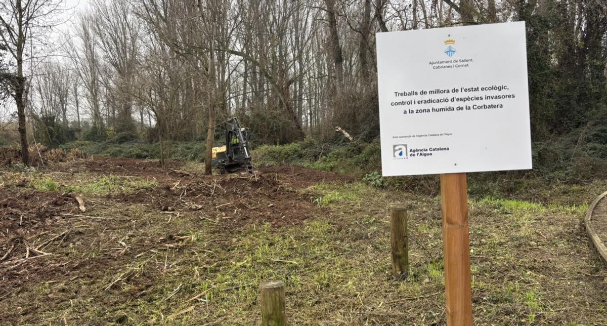 Tasques de neteja i retirada de vegetació a la Corbatera
