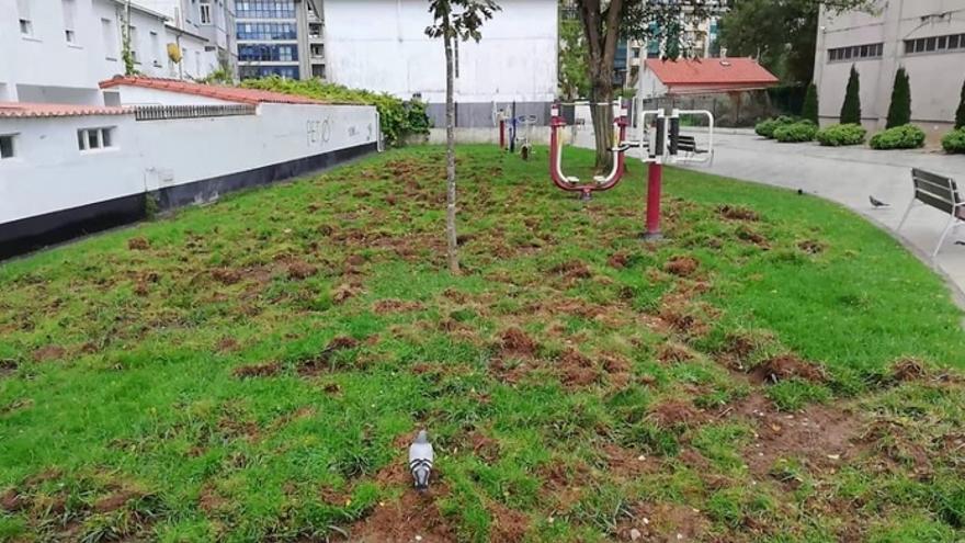 Desperfectos en el parque biosaludable de Cantalarrana, en Sad