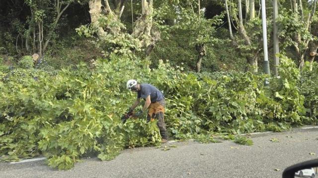 Retirada de maleza en la finca de García Arenal. | G.  NÚÑEZ