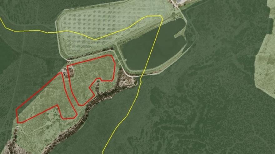 Ecologistas alegan contra una planta solar en Santa Pola que ocuparía 3,7 hectáreas de sierra