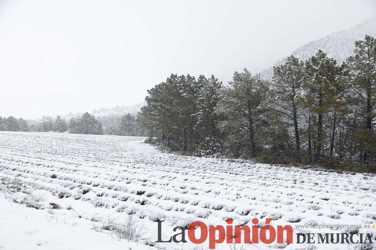 Continúa la nevada en las zonas altas de la comarca del Noroeste