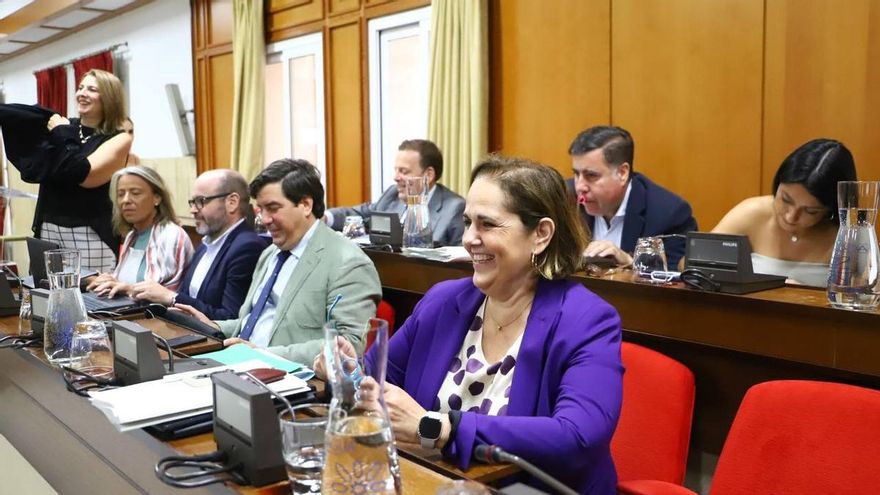 El Pleno exige al Gobierno acabar con los retrasos en los exámenes del permiso de conducir en Córdoba