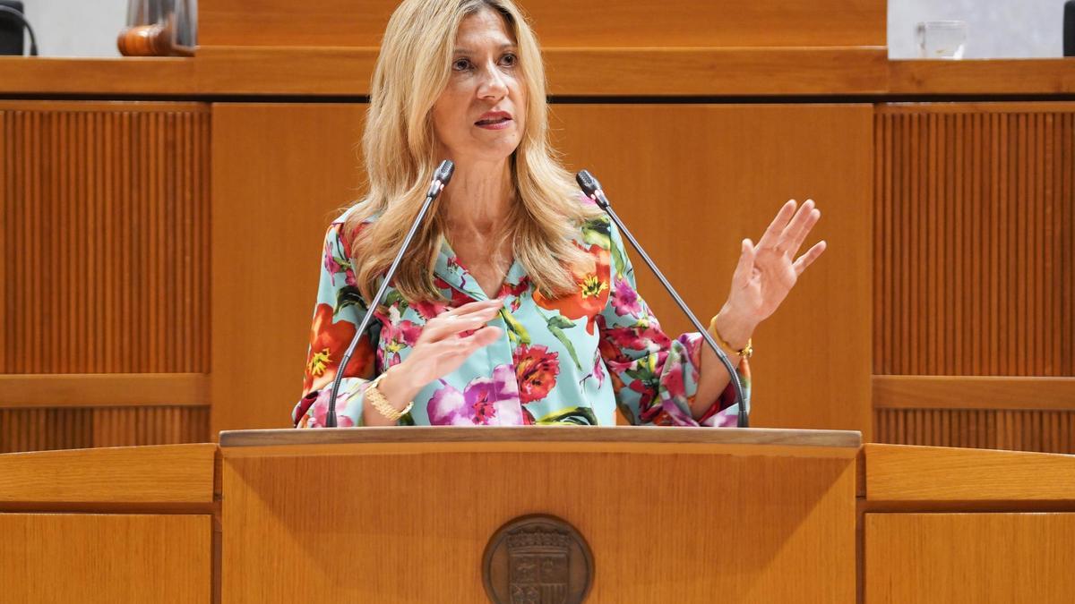 La vicepresidenta económica del Gobierno de Aragón, Mar Vaquero, en una intervención en las Cortes.