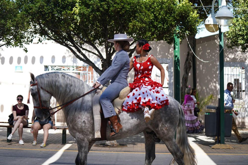 Primeros caballos en el Cortijo de Torres