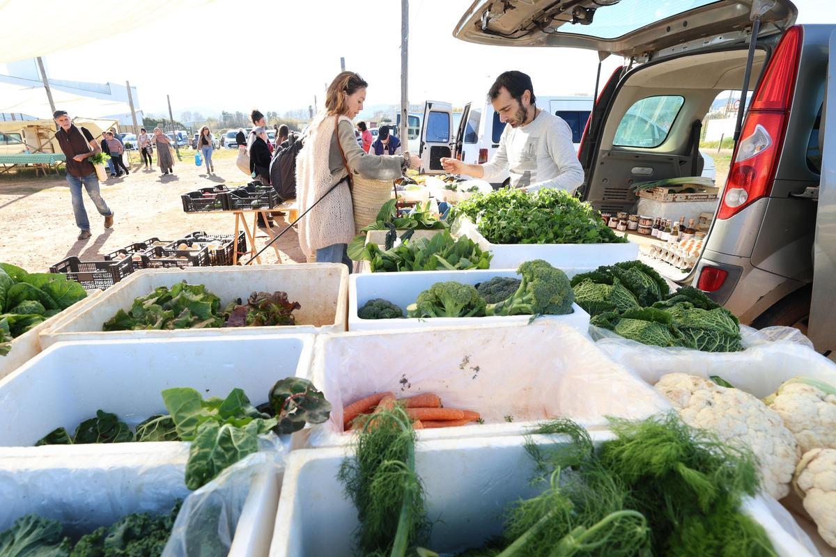 Galería: mercadillo de los productos del campo