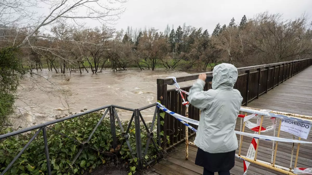 Borrasca Martinho: desciende el caudal del río Henares a su paso por Alcalá, pero se mantiene la alerta