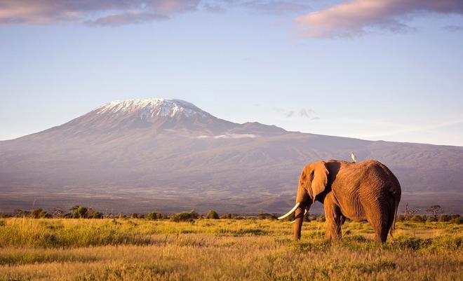 Kilimanjaro, Tanzania