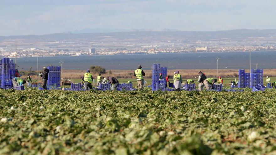 Trabajadores en el campo, en una foto de archivo; buena parte de la contratación irregular se da en la agricultura.