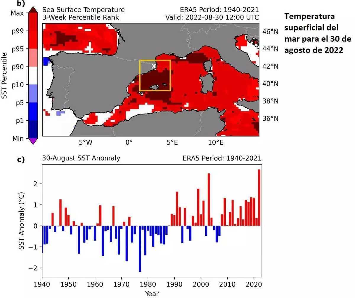 Anomalies de la temperatura superficial del mar el 30 d'agost de 2022.