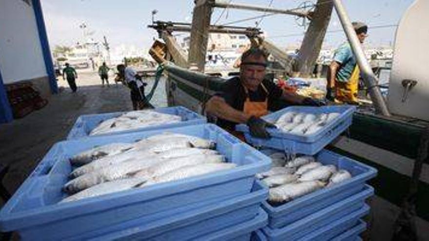 Mercadona impulsa la pesca con su oferta de pescado fresco