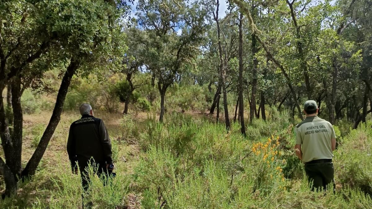 Agentes rurales de la unidad de Cíjara que durante las labores de búsqueda del desaparecido.