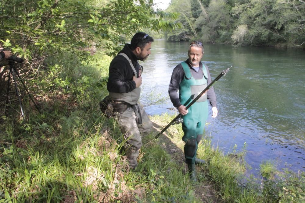 El salmón no pica en el Lérez