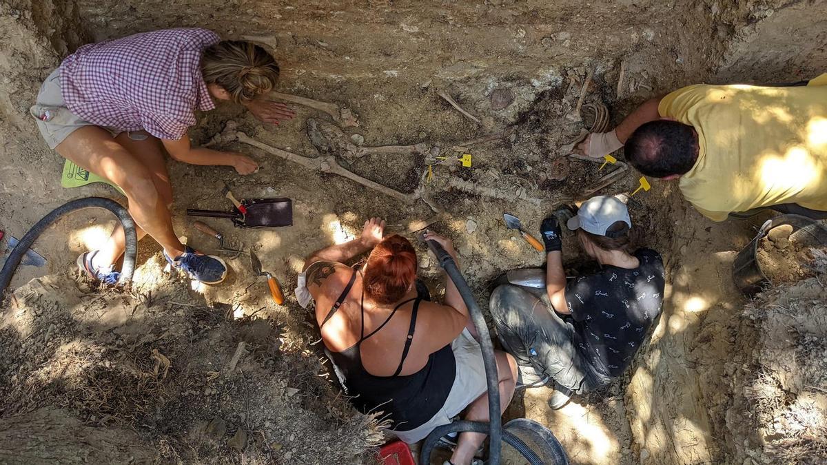Varias personas trabajan en la exhumación de una fosa.