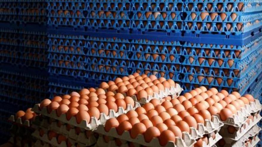 El pesticida fipronil ha llegado a 17 países europeos y a Hong Kong