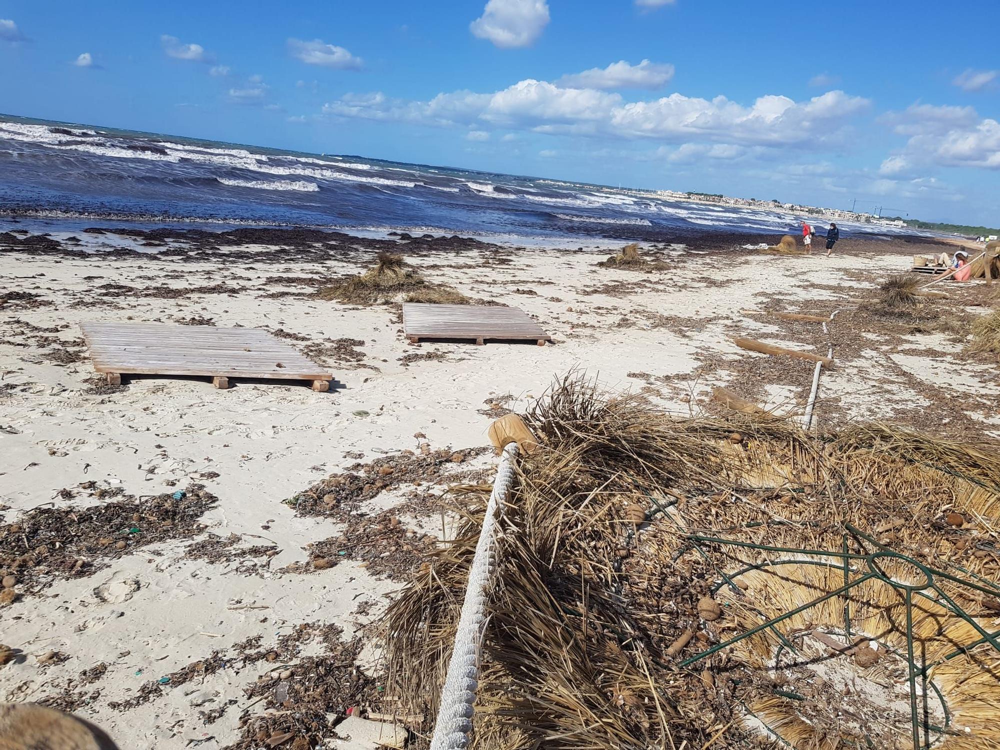 La borrasca Álex destroza las sombrillas de la playa de sa Ràpita