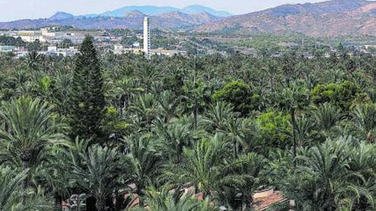 Elche en el siglo XIX: de villa a ciudad