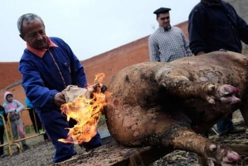 Matanza tradicional en Monfarracinos