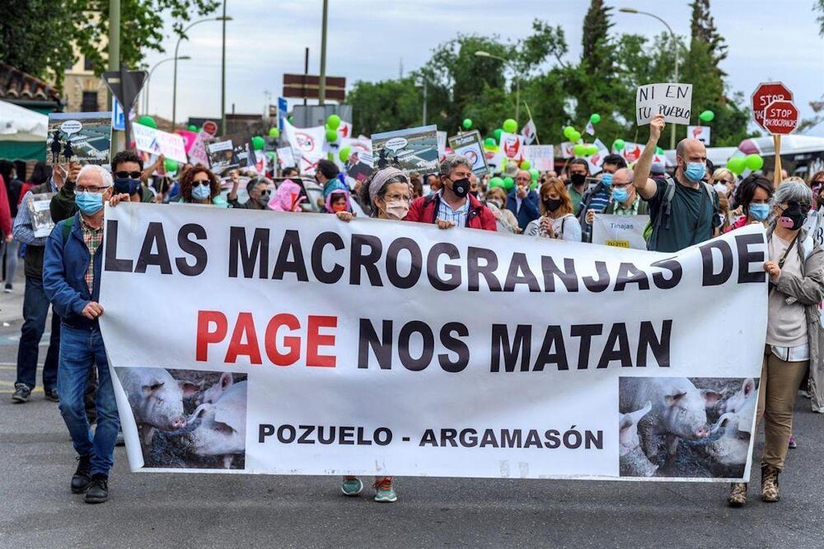 Manifestación contra las macrogranjas en Toledo el pasado mes de mayo