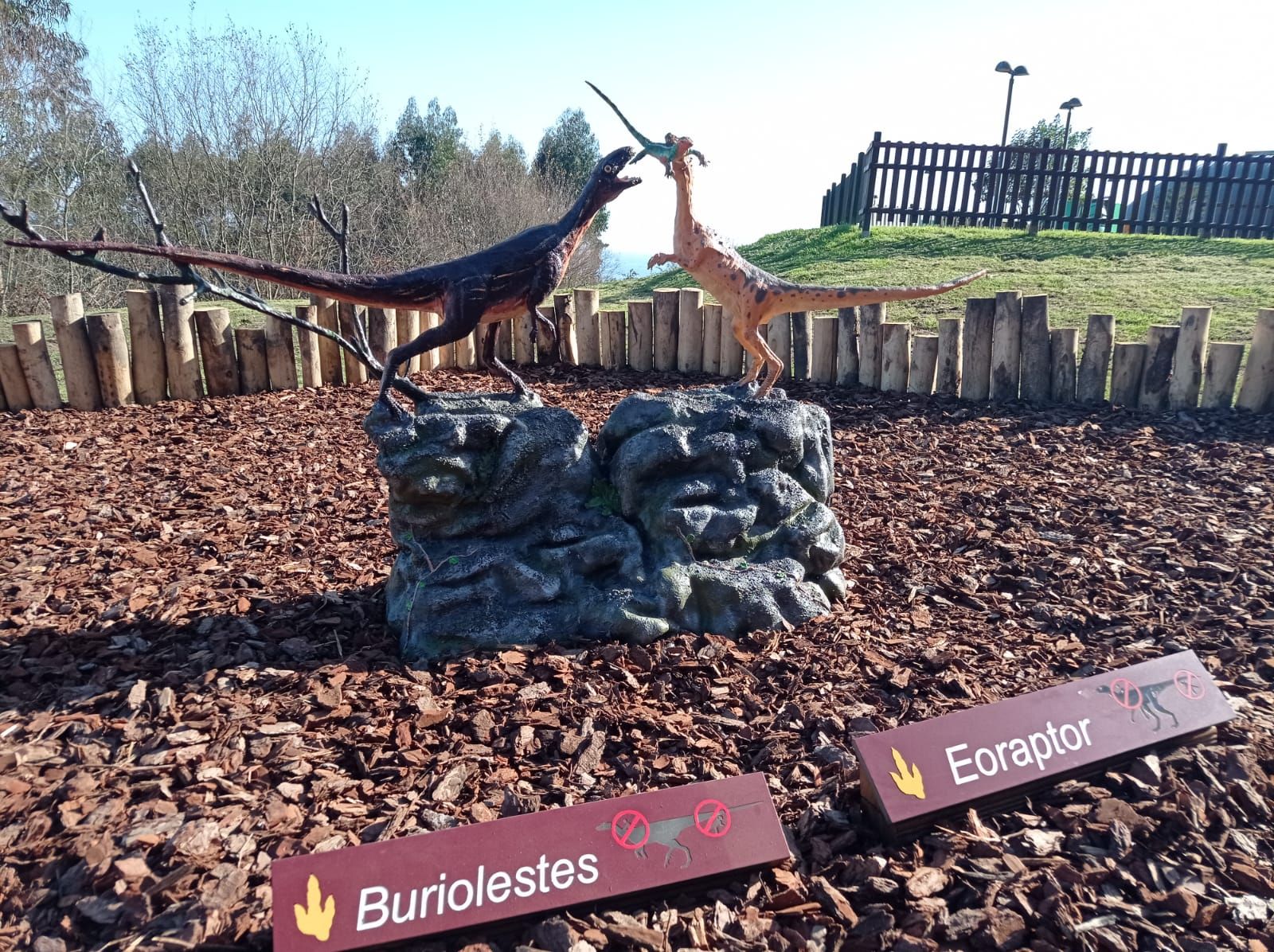 Así son las dos nuevas escenas de dinosaurios gigantes que el MUJA incorpora a su jardín exterior