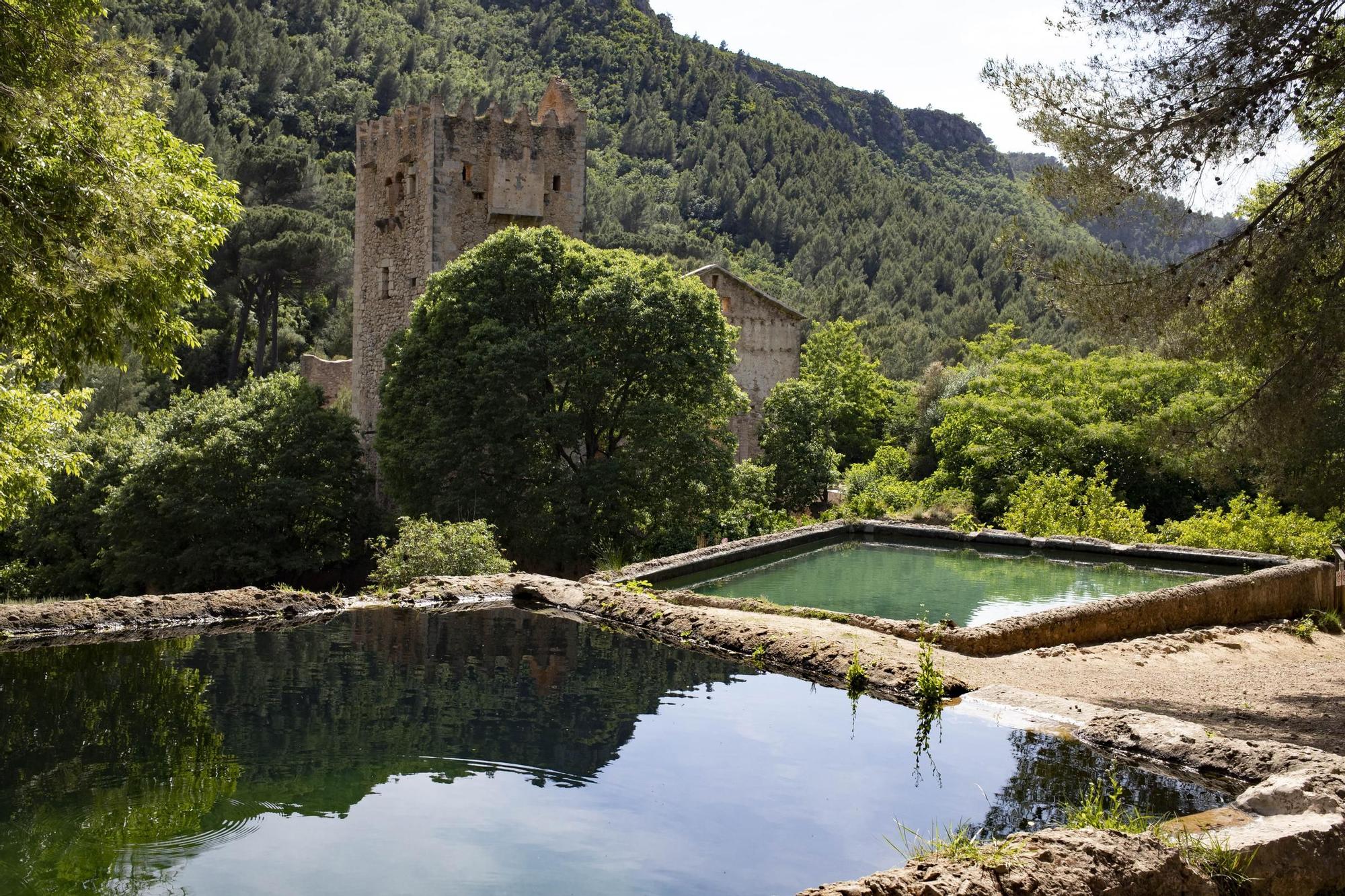 Un paseo por el paraje de la Murta y la Casella de Alzira