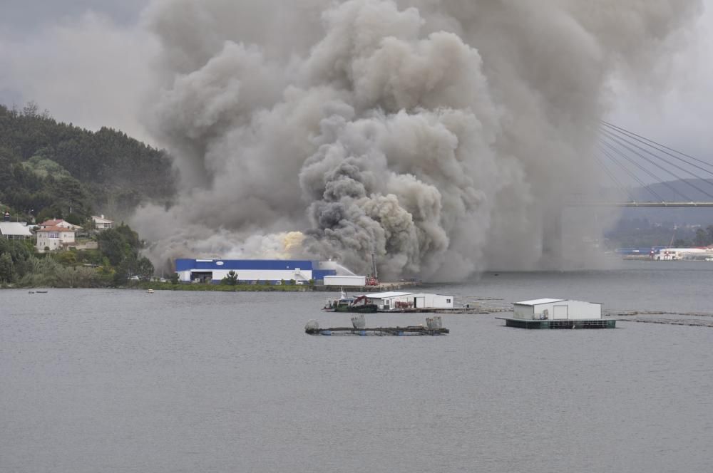 Un aparatoso incendio ha obligado a evacuar este lunes por la  tarde la nave de la empresa Fandicosta, en Moaña (Pontevedra),  dedicada al procesado de congelados del mar y situada en el lugar de  Verdeal, en la parroquia de Domaio, y una densa humareda cubre parte  de la ría, especialmente en la zona del puente de Rande.