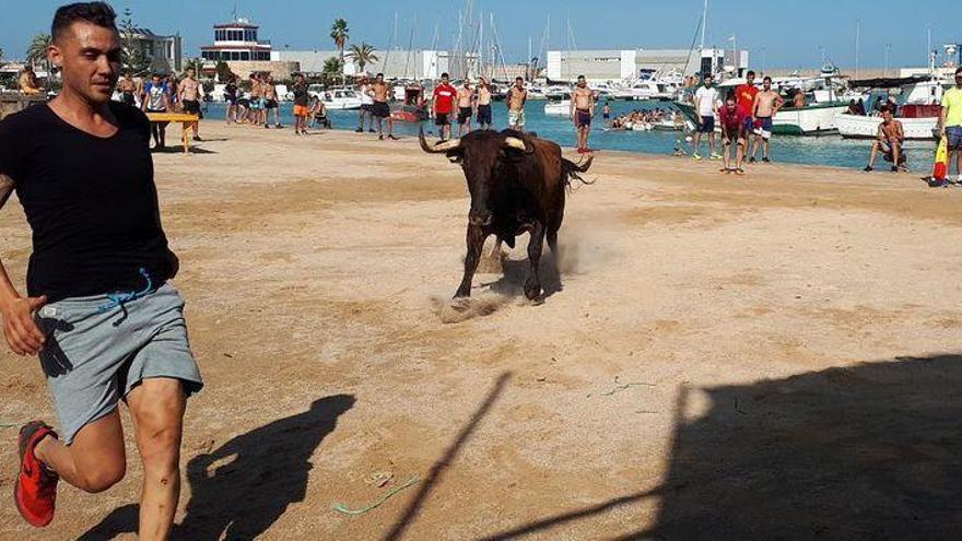 Una vaquilla se ahoga en los &#039;bous a la mar&#039; de Benicarló