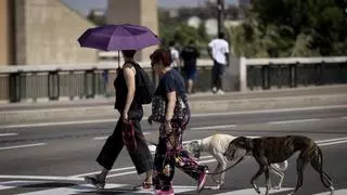 Aragón supera los 40 grados y recibe el verano con un calor abrasador