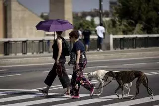 Los zaragozanos se resguardan del calor en un día plenamente veraniego