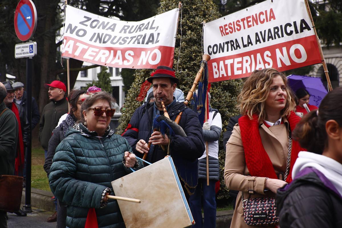 Participantes en una protesta contra los parques de baterías.