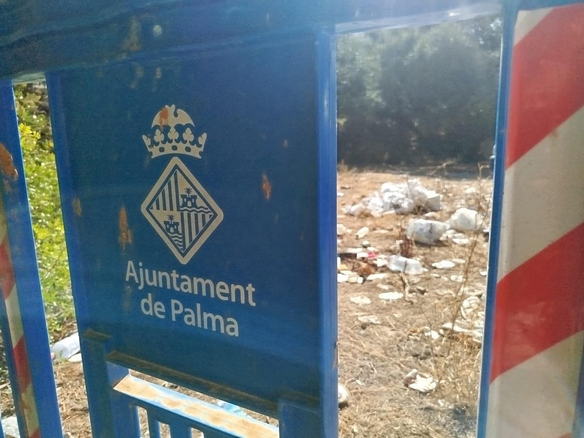 Denuncian suciedad y robos en un aparcamiento público junto a la playa de Cala Major