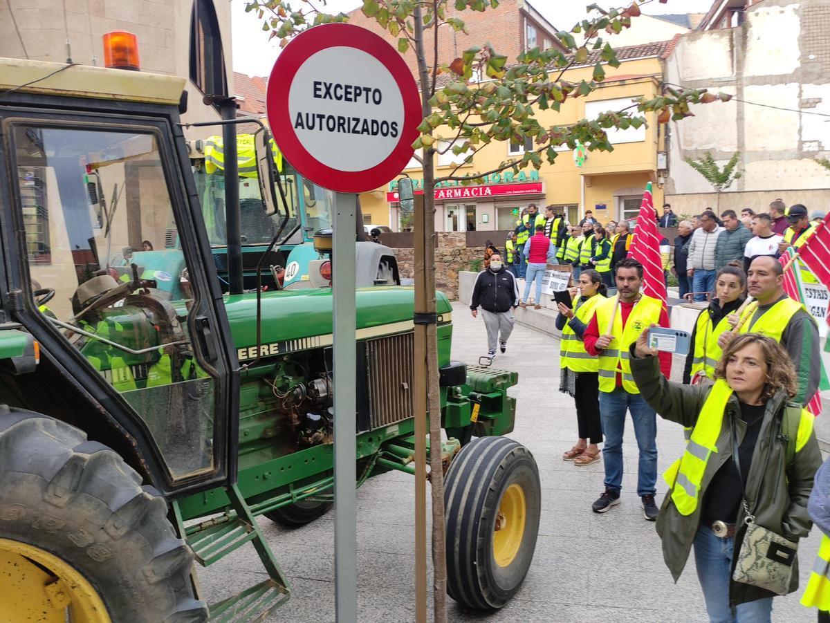 GALERÍA | La concentración de agricultores y ganaderos ante los juzgados de Benavente, en imágenes