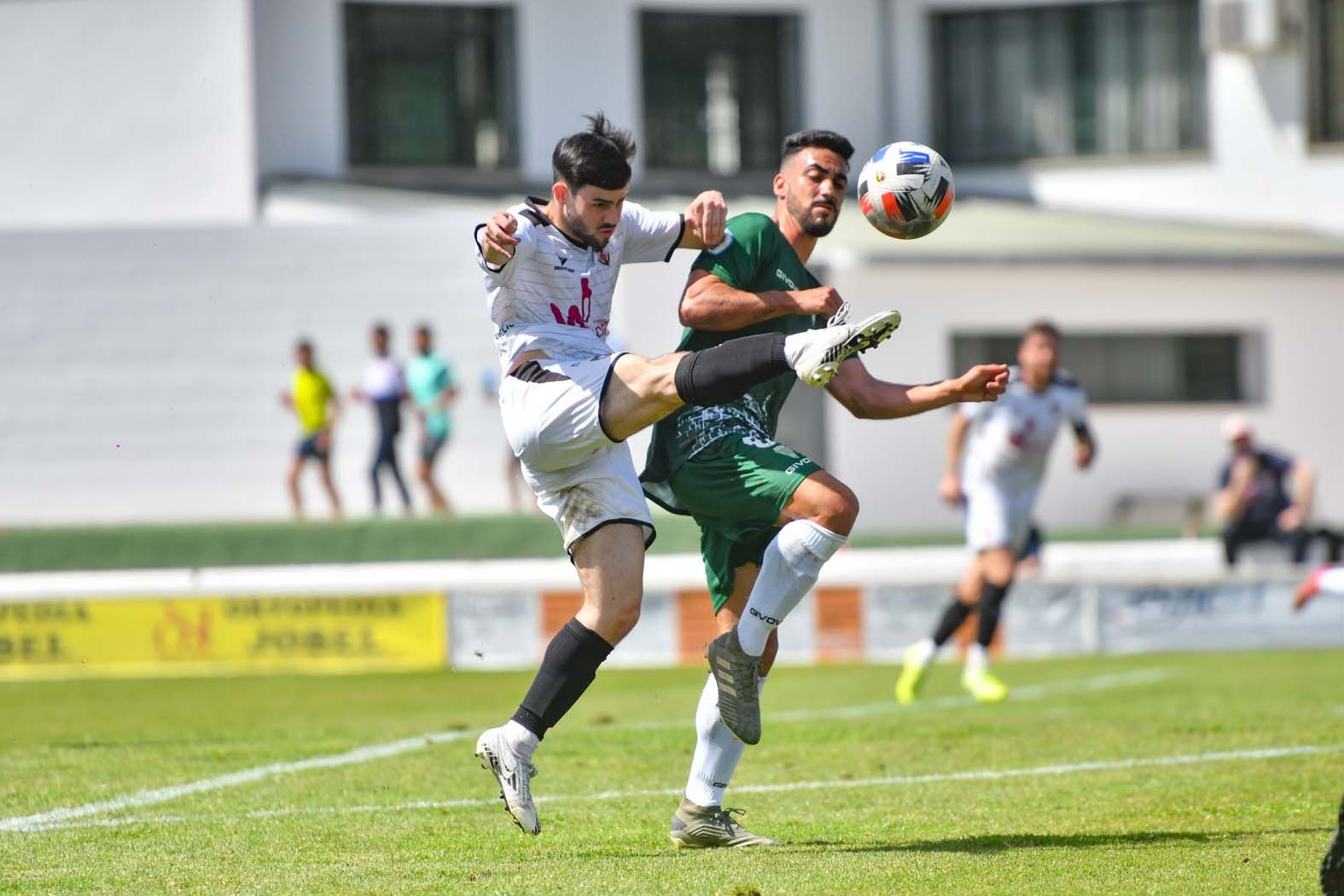 El triunfo del Pozobblanco ante el Córdoba B, en imágenes