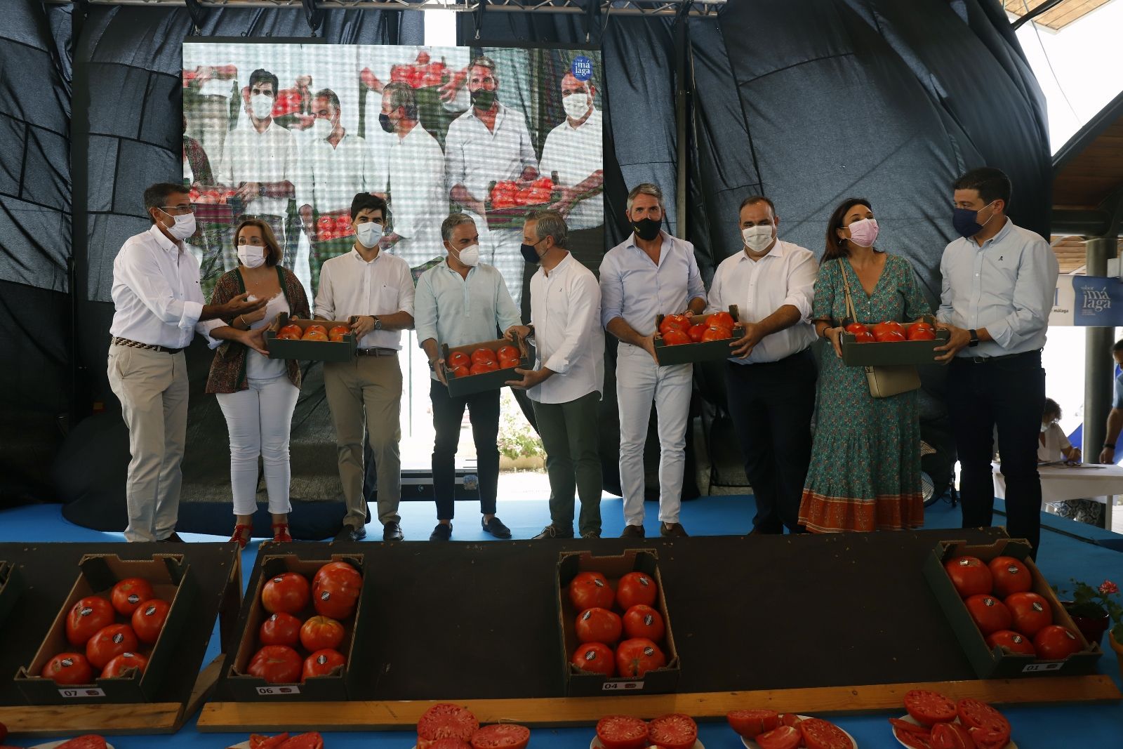 Concurso hortofrutícola de Coín y subasta Mejor Tomate Huevo de Toro